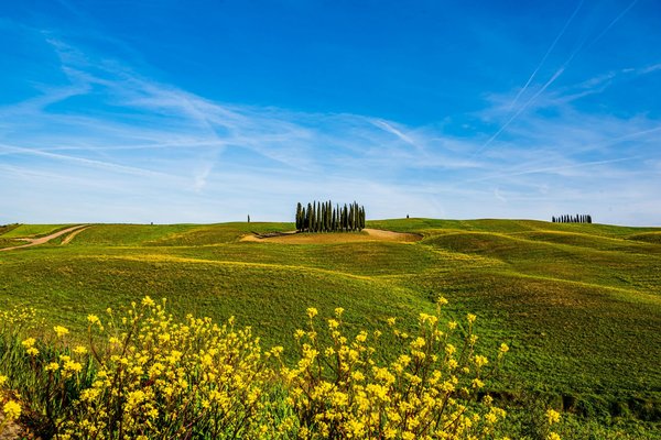 Découvrez les secrets du terrain immobilier en alsace